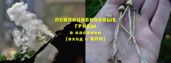 мескалин Бородино